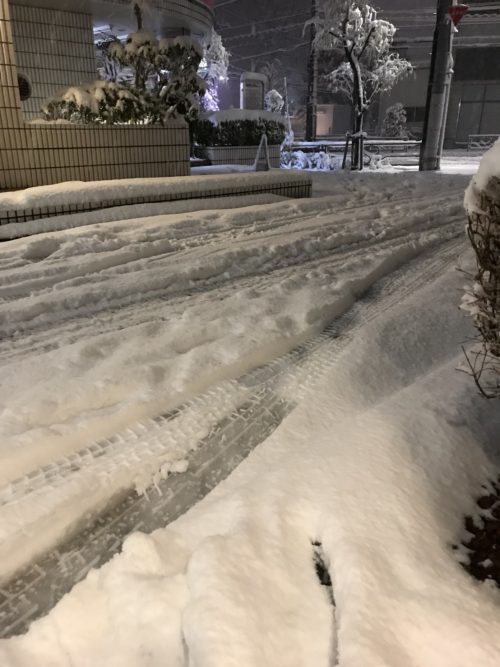 東京の雪